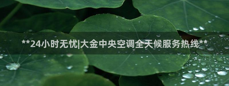 环球360官网会员注册账号