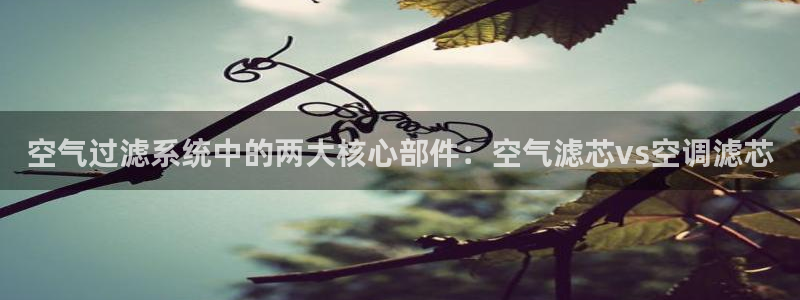 环球360官网会员注册不了