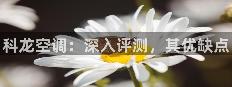 环球360app下载安装