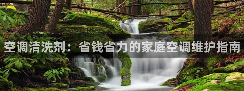 环球360官网会员