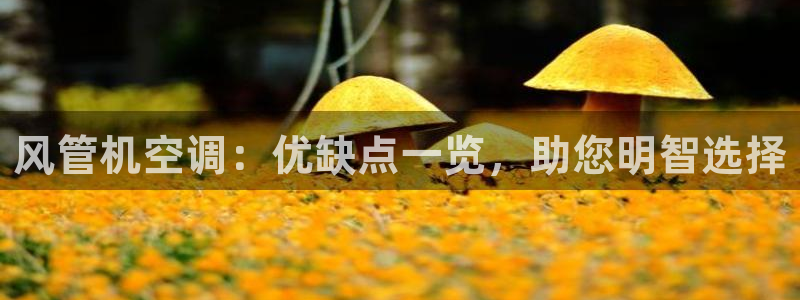 菲律宾环球360假