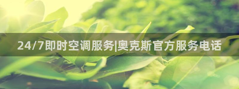 环球360飞机视频播放