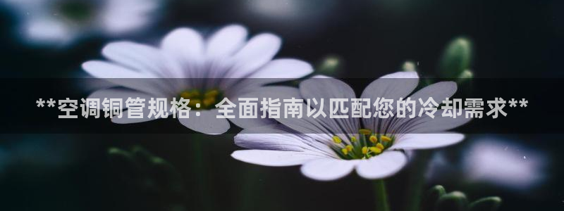 环球360的官网