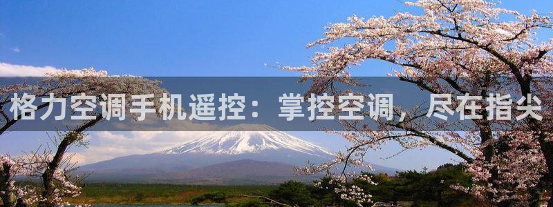 环球360网