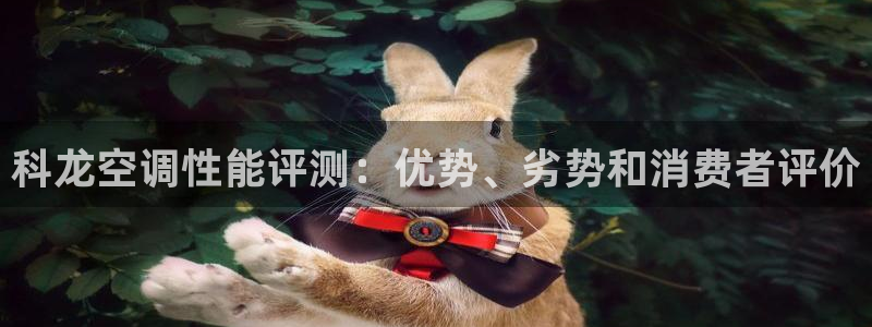 环球360网址是多少
