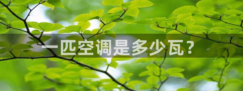 环球360是什么