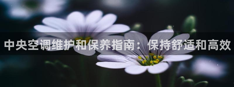 菲律宾环球360假