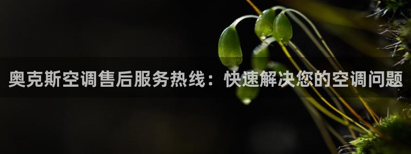 环球360官方游戏