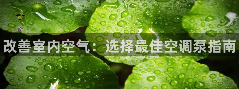 环球360新闻