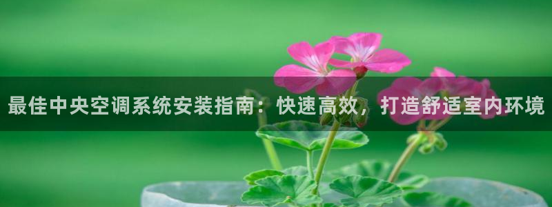 环球360官网登录页面进不去