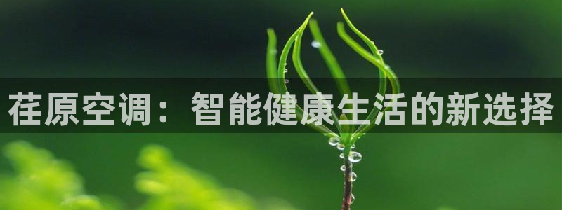 菲律宾环球360管理